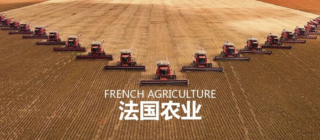 法国农业：欧盟农业大国，靠这6大战略制胜市场